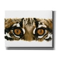 thumbnail image 1 of Epic Graffiti 'Eye Catching Ocelot' by Barbara Keith, Canvas Wall Art, 34"x26", 1 of 8