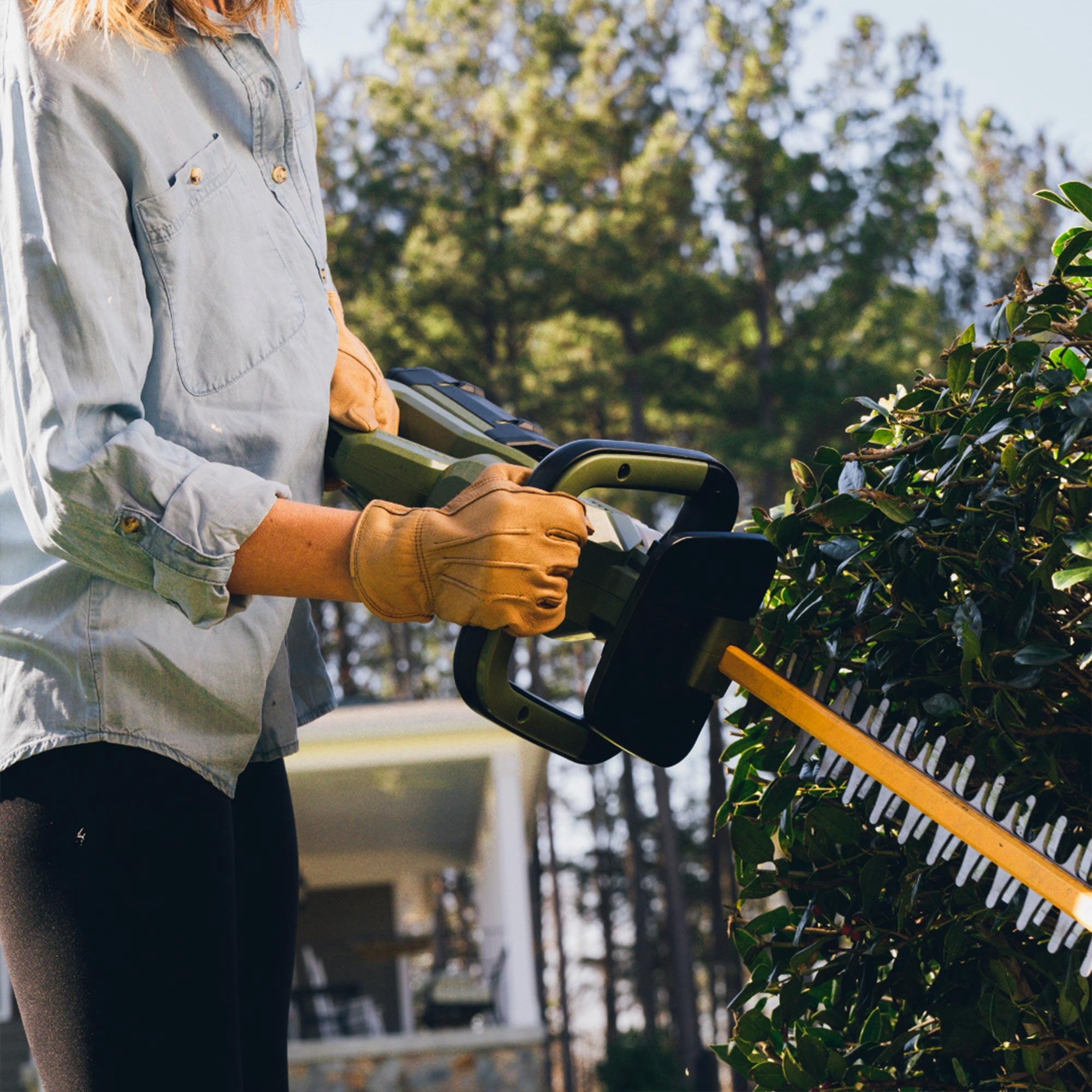 Green Machine 62V Cordless 25" Hedge Trimmer with 2.5 Ah Battery and Rapid Charger