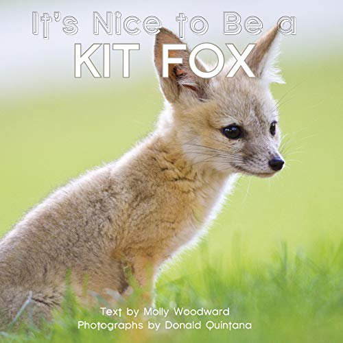 C'est Agréable d'Être un Renard Kit