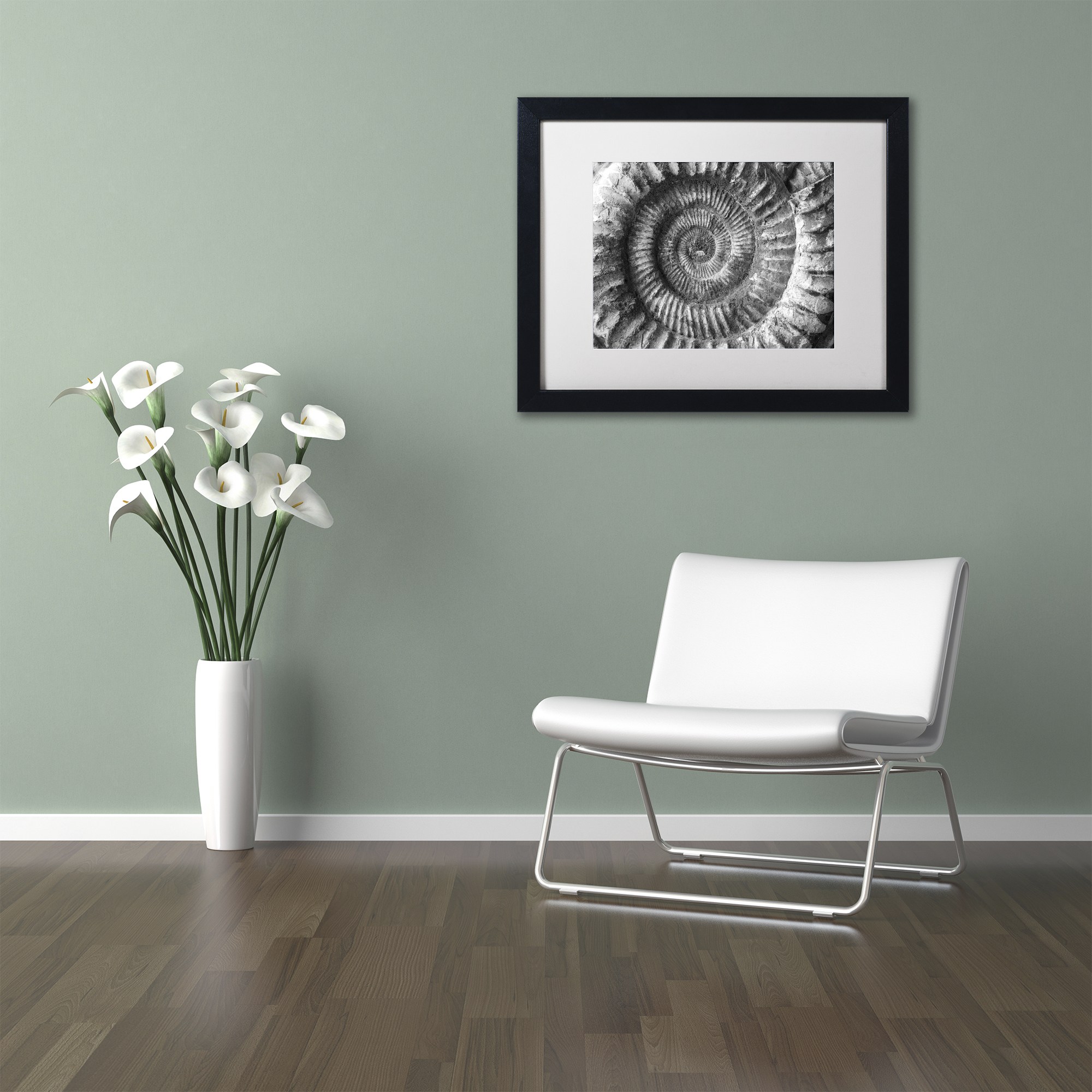 Trademark Fine Art "Amonita 2" Canvas Art by Moises Levy White Matte, Black Frame