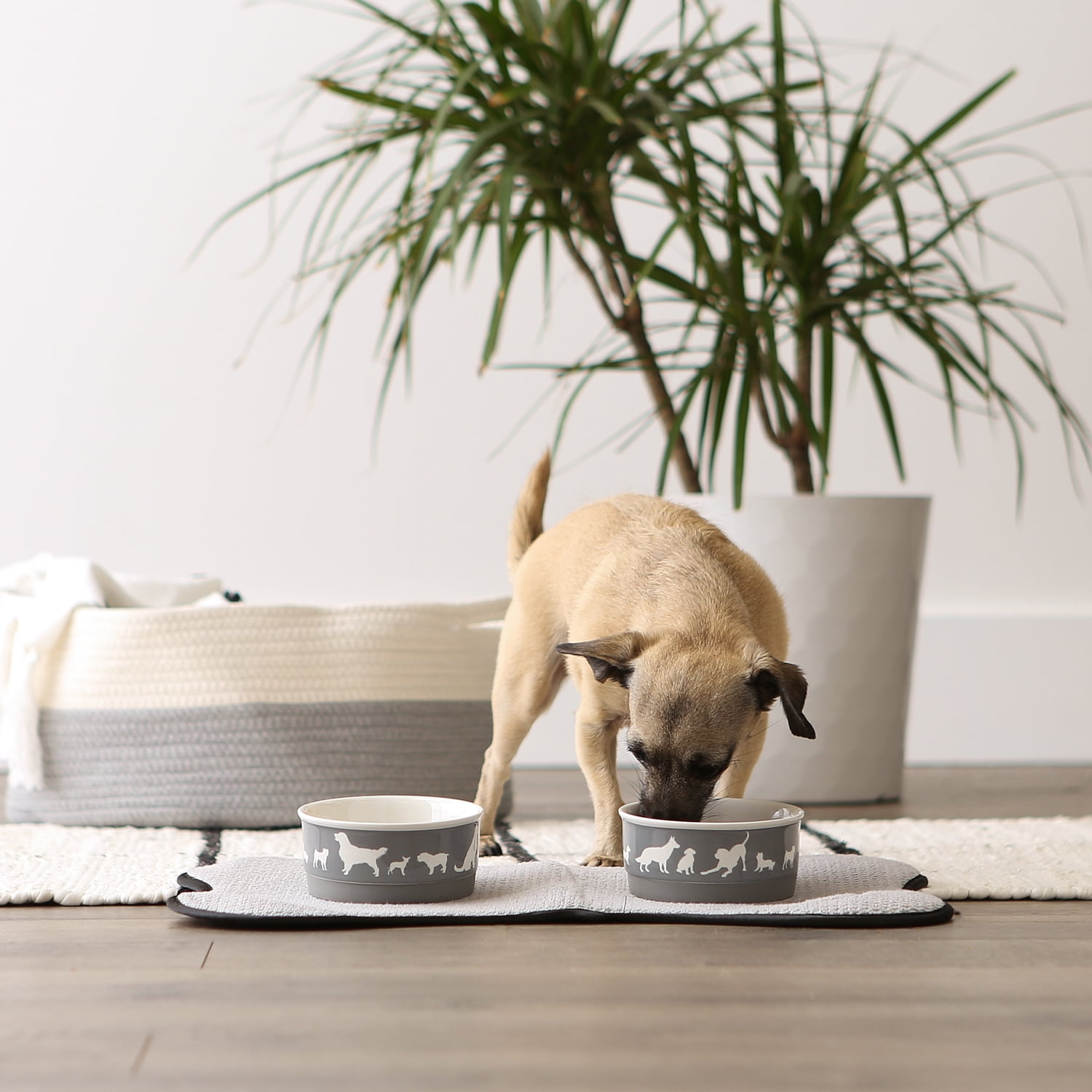 Bone Dry Ceramic Dog Bowl Set, Microwave & Dishwasher Safe, Small, 4.25x2", Gray, 2 Count