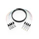 thumbnail image 2 of Snake Cable PRORECK, audio blindado de 4 canales, 15 m, TRS a XLR, 2 of 6