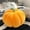 Orange, variant on Christmas EDHITNR Under 5 Cute Throw Pillows, Pumpkin Throw Pillow Cushions Decorative Throw Pillow Sofa Bed Pillow Patio Furniture Cushions Seat Cushion