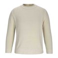 thumbnail image 1 of Grrvtrz Chandails pour Hommes Col Rond Chandail Décontracté Manches Longues Tissage Épais Chandail Texturé Mode Automne 2025, 1 of 3