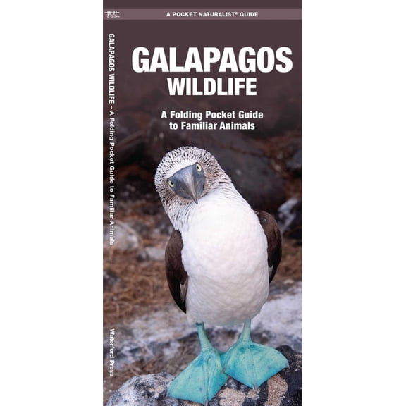 Pocket Traveller: Galapagos Wildlife: An Introduction to Familiar Species (Paperback)