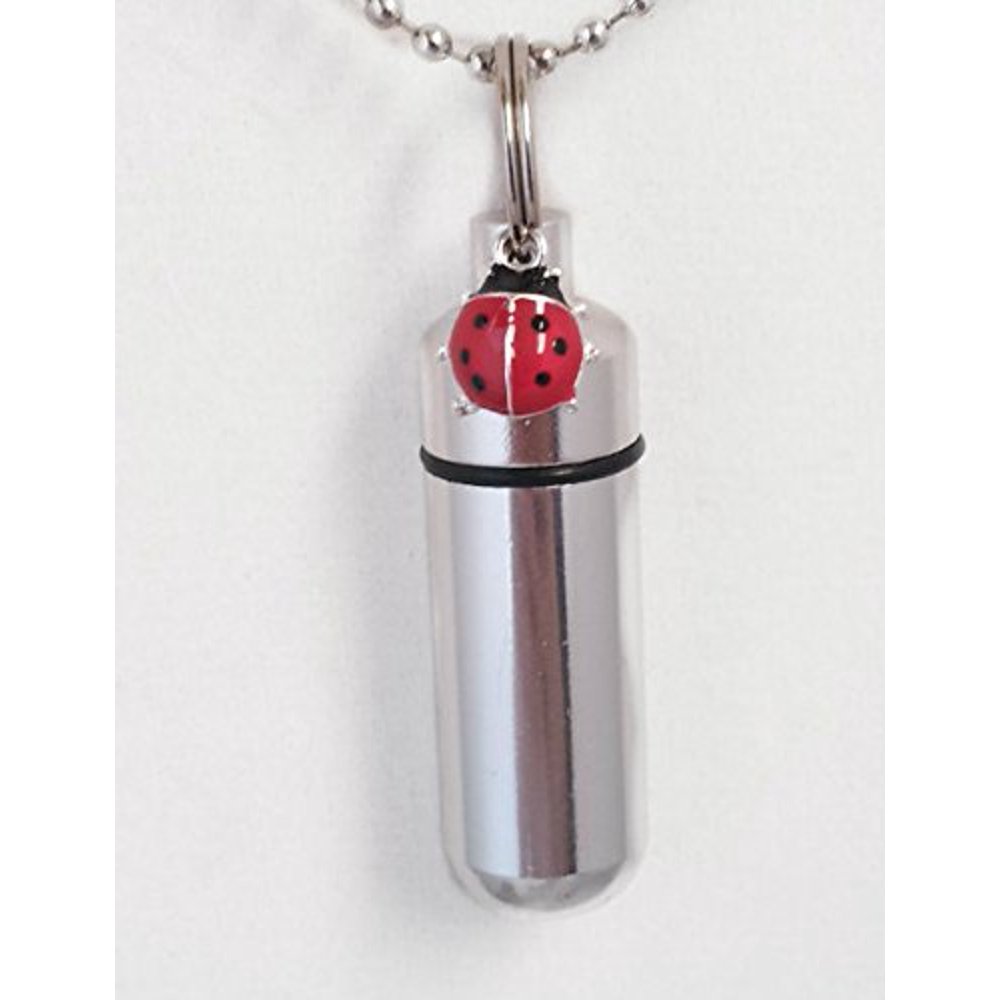 Pasco Specialty Products Cute RED LADYBUG CREMATION URN Keychain