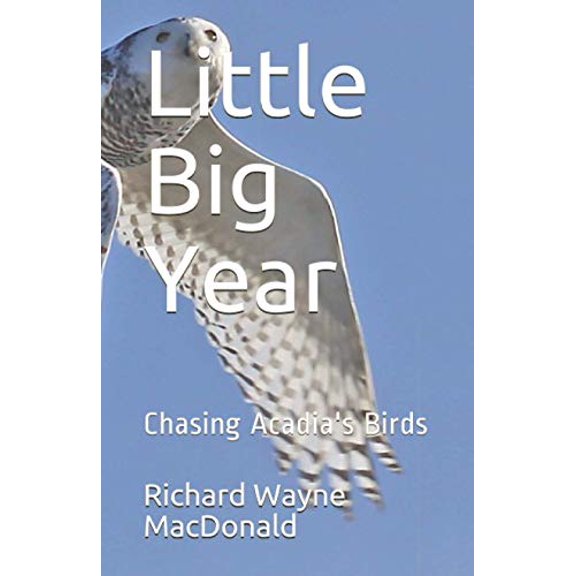 Pre-Owned Little Big Year: Chasing Acadia's Birds (Paperback) 0578820099 9780578820095