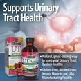 thumbnail image 4 of Nature's Answer UT Answer Cranberry Liquid, Urinary Tract Support with D-Mannose & Vitamin C, Alcohol-Free Herbal Supplement, 4 fl oz (Pack of 2), 4 of 5