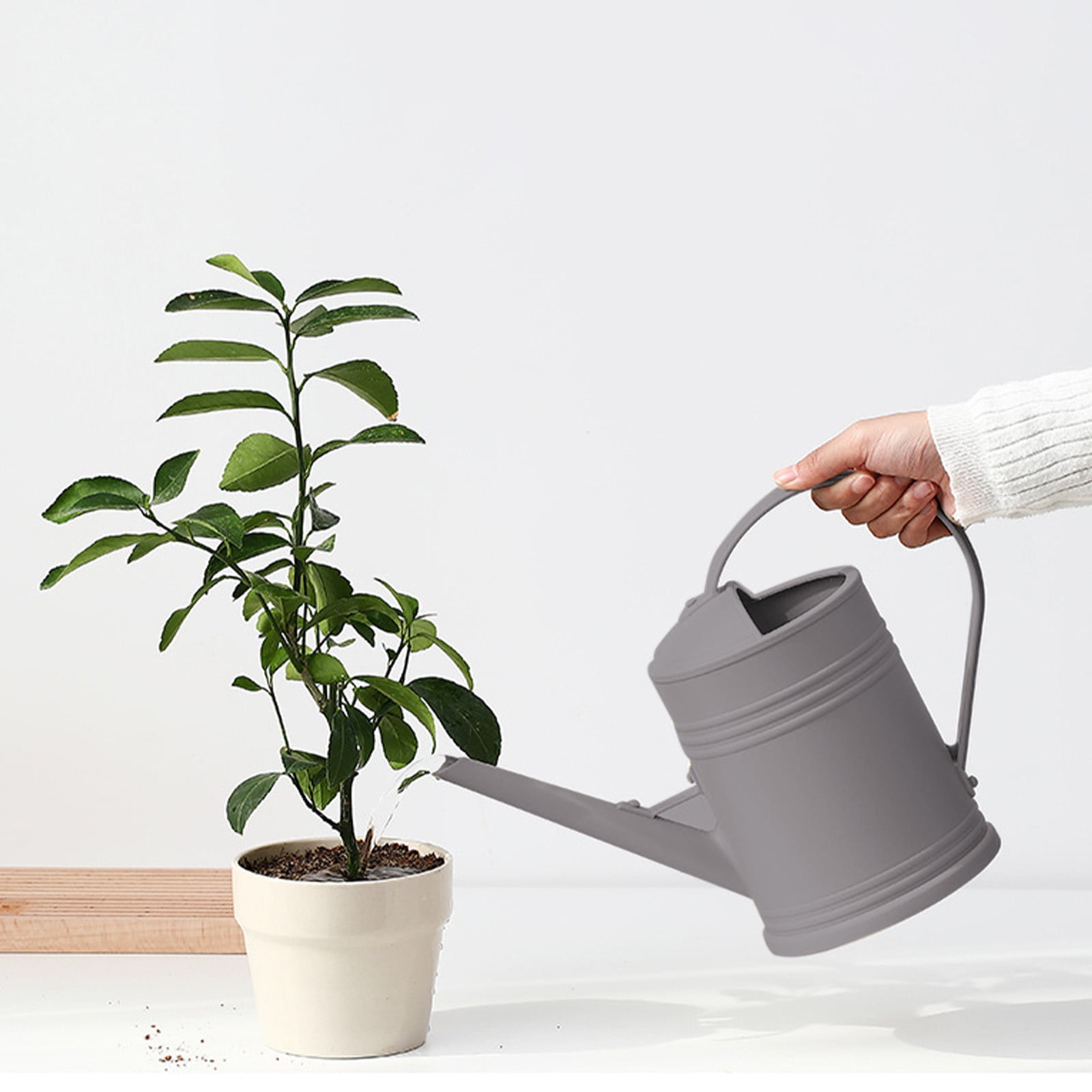 JoyHoop Durable 2L Watering Can with Long Spout, Lightweight Plastic for Indoor Plants and Gardening, Gray