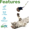 thumbnail image 2 of Katfly Turkey Cat Wand Toy with Real Feather Cat Toy Wand — Interactive Cat Toy for Cat Entertainment, Cat Toy String On A Stick, Cat Teaser for Indoor Cat and Kitten — Turkey (3 Inches), 2 of 4
