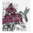 thumbnail image 3 of Ambesonne Nature Shower Curtain, Orchids and Hummingbird, 69"Wx84"L, Burgundy, 3 of 5