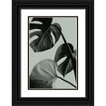 thumbnail image 1 of Artographie Studio 13x18 Black Ornate Wood Framed with Double Matting Museum Art Print Titled - Monstera Teal 07, 1 of 4