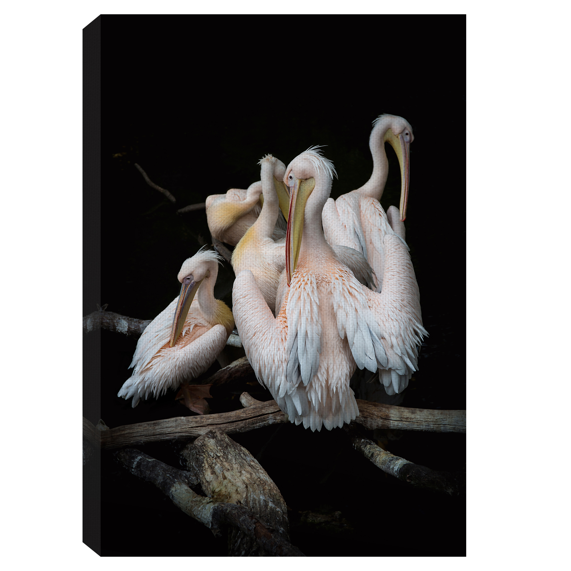 Masterpiece Art Gallery Flock Of Flamingos By Olivier Guillard Canvas Art Print 24" x 36"