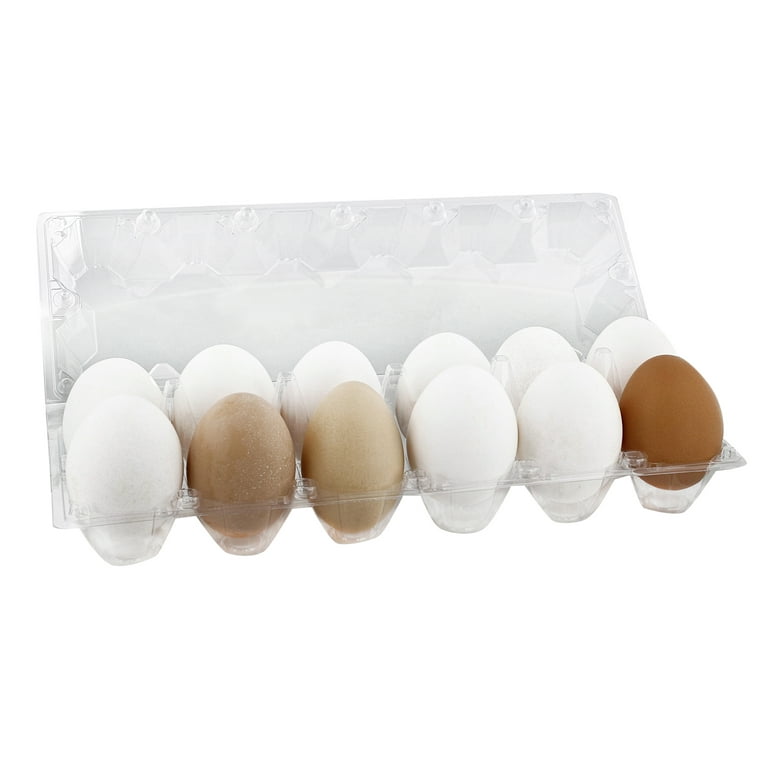 Rural365 Plastic Egg Carton for 12 Eggs 12ct Reusable Chicken