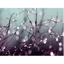 Beata Czyzowska 'Somewhere Over the Rainbow' Canvas Art