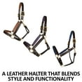 thumbnail image 2 of Schneiders Double Stitch Contrast Color Padded Leather Horses Halter | Brown Royal | Oversize, 2 of 7
