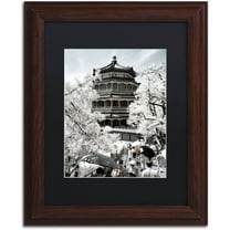 Trademark Fine Art "White Temple" Canvas Art by Philippe Hugonnard, Black Matte, Wood Frame