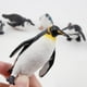 thumbnail image 4 of Set de 12 figuras de pingüinos Toymany, realistas, con cachorro de pingüino, 4 of 8