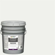 ColorPlace Exterior Satin Finish Paint, White, 5 Gallon