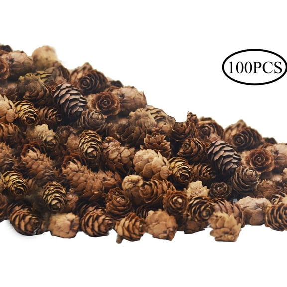 50/100/150 PCS Christmas Natural Mini Pine Cones- 2CM Thanksgiving Small Pinecones Ornaments Vase Fillers for DIY Crafts, Home Decorations, Fall and Christmas, Wedding Decor