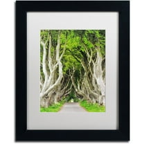 Trademark Fine Art "The Dark Hedges" Canvas Art by Philippe Sainte-Laudy, White Matte, Black Frame