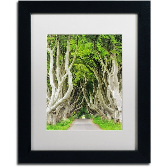 Trademark Fine Art "The Dark Hedges" Canvas Art by Philippe Sainte-Laudy, White Matte, Black Frame