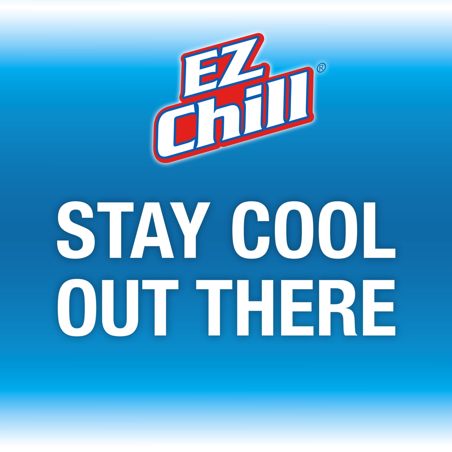 EZ Chill R-134a 16 oz Automotive AC Recharge Kit with Hose and Gauge