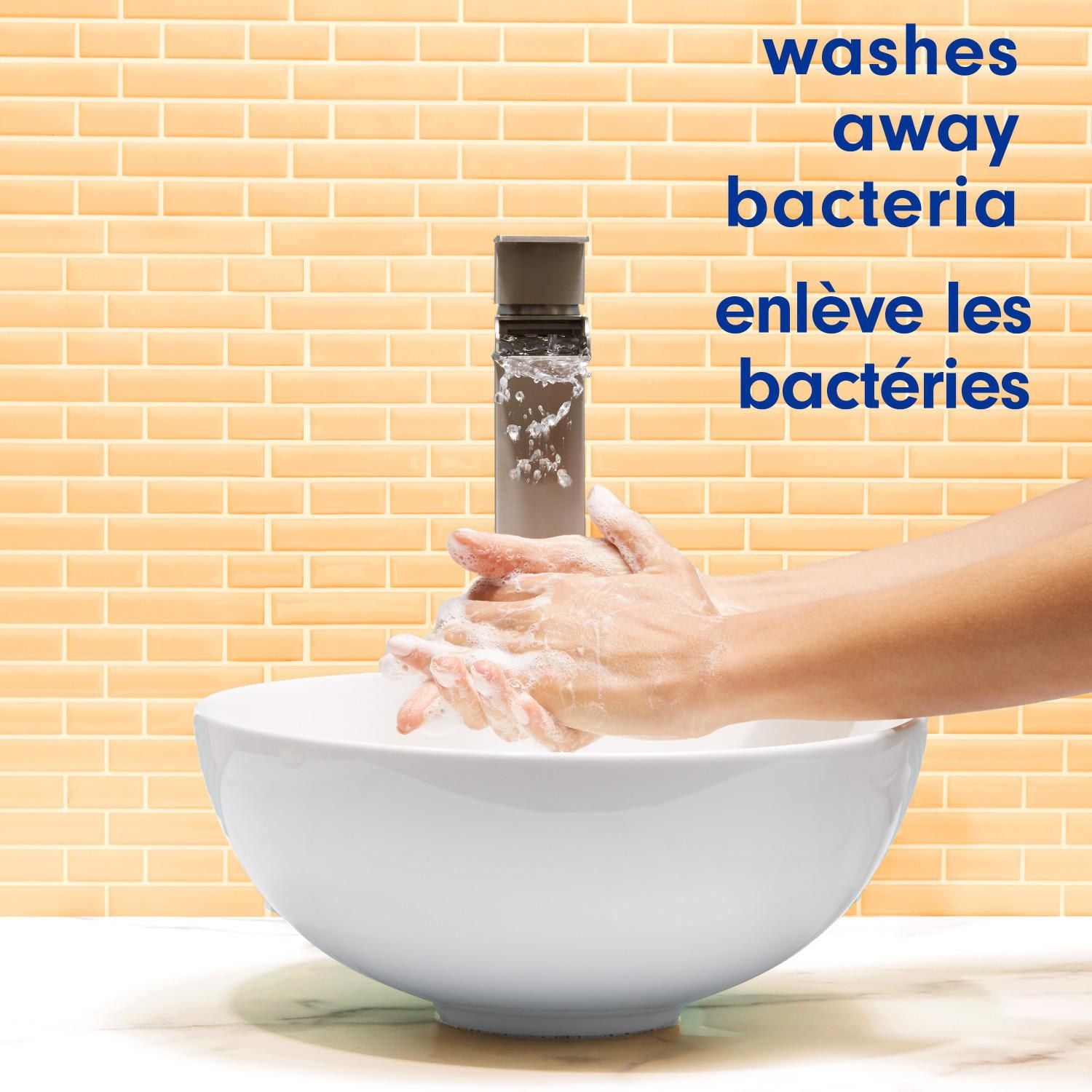 Softsoap Hydrating Liquid Hand Soap Pump, Watermelon & Mint - 332 ML, Hand Soap