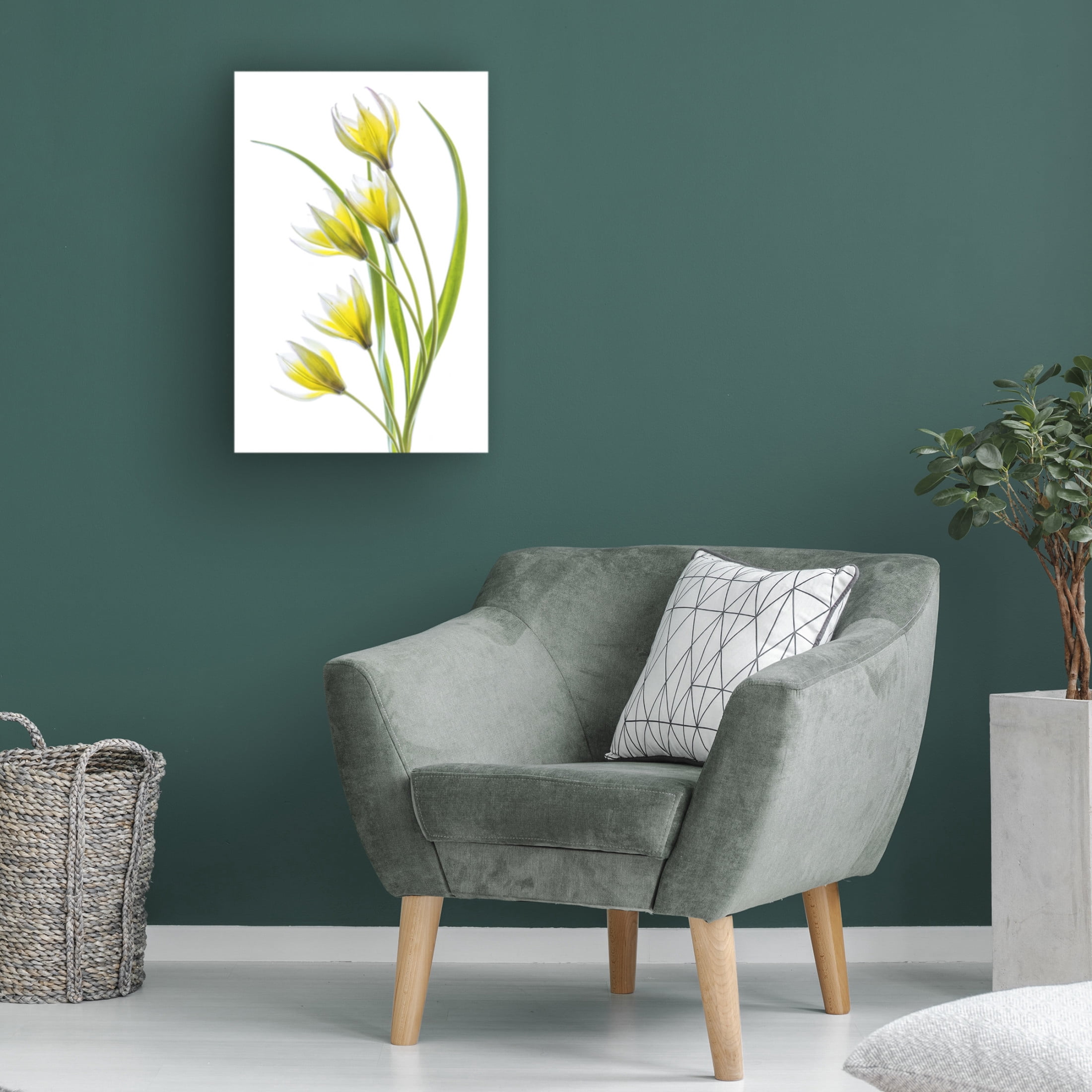 Canvas Wall Art - Mandy Disher 'Tulipa' Wall Art for Living Room, Bedroom, or Office Décor by Trademark Fine Art - 12 x 19 Inches