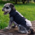 thumbnail image 5 of Dog Winter Coat, Waterproof Thick Warm Turtleneck Dog Winter Jacket for Cold Weather, Windproof Dog Jacket for Small Medium Dogs, 5 of 9