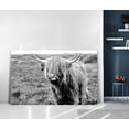 thumbnail image 2 of HFDF Large Highland Cow Decor Farmhouse Style Highland Cow Black and White Canvas Poster Animal Wall Art Modern Living Room Wall Decor Naughty Cow Wall Art With for Hanging 24x16inch Framed, 2 of 7