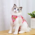 thumbnail image 5 of Cat's Sterilization Clothes, Hands And Pet's Postoperative Recovery Clothes, Fruit And Lychee Pattern Pet Clothes, 5 of 6