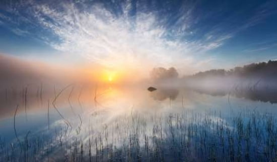 Reflection Canvas A