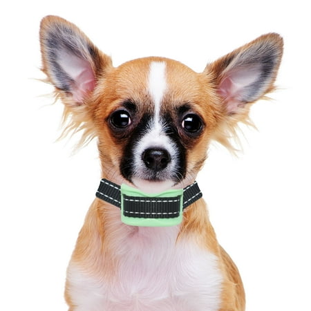 How to Use Purina Pro Plan Coupons Every new puppy owner has the same image of what they want their new dog to be like as an adult. First and foremost, everyone wants a great relationship with their dog but beyond that, those who plan on keeping their dog in their home want a calm, well-mannered, obedient house dog that minds and respects their family and friends.