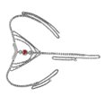 thumbnail image 6 of Hot Girl G-string Crystal Thong Versatile Heart Waist Belt for Nightclub Party Rhinestones Heart Panties Body Jewelry, 6 of 8