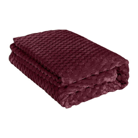 Elainilye Thick Blanket, Kids Velvet Cover Blanket Sheet, Napping Blanket, 30×40In, Red
