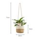 thumbnail image 3 of Jardinera colgante JINMJMXG maceta de 20 cm con algas marinas color Blanco, 3 of 4