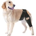thumbnail image 1 of Rodillera PetCove para perro, para desgarro del ligamento cruzado anterior, pata trasera, talla mediana, 1 of 7