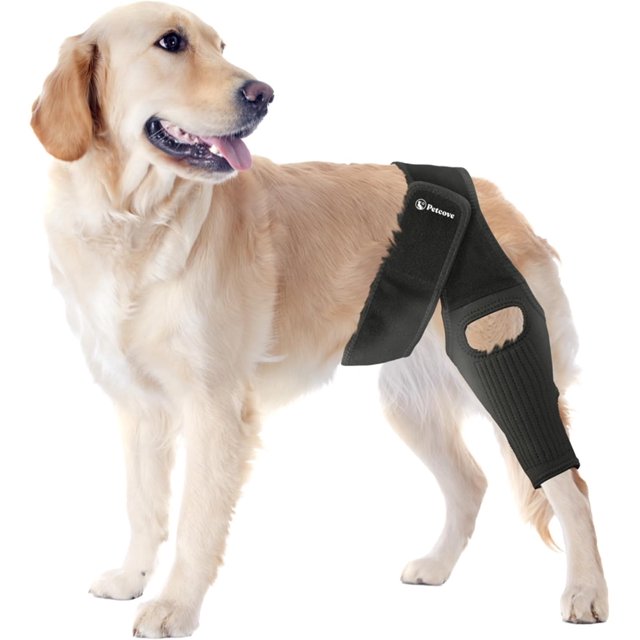 Rodillera PetCove para perro, para desgarro del ligamento cruzado anterior, pata trasera, talla mediana