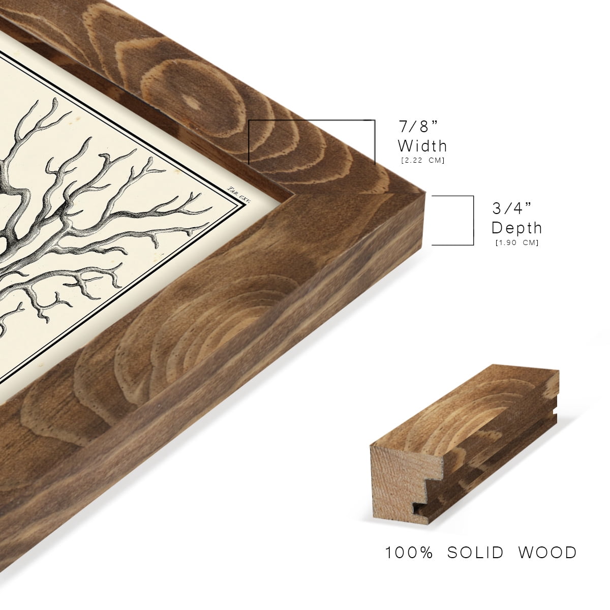 Aegean Collection III -Framed Print w/glass-Walnut