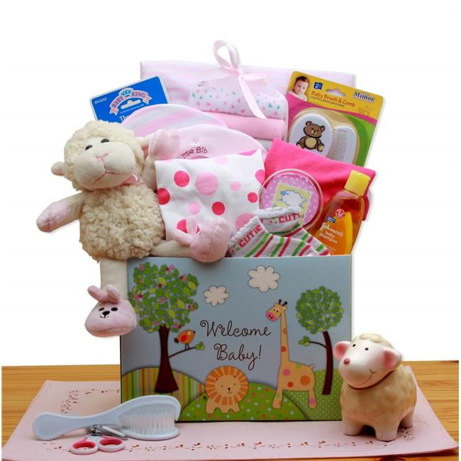 walmart canada baby welcome box