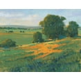thumbnail image 2 of OToole, Tim 18x15 White Modern Wood Framed Museum Art Print Titled - Poppy Fields II, 2 of 4