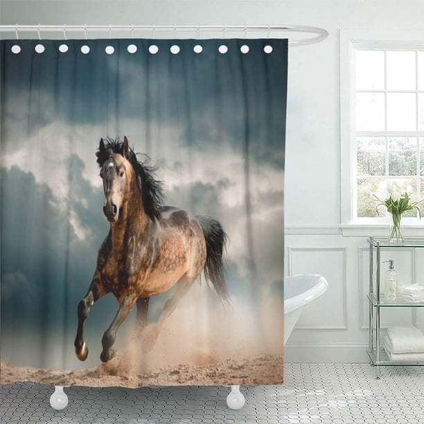 ABPHQTO Orange Horse Wild Stallion in Dust Grey Run Freedom Speed Gallop Power Free Negro Cortinas de baño impermeables para baño Juego de cortinas de ducha 165x180 cm ABPHQTO PKNMT66x72Shower-11017