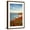 Brown Frame, variant on Art.com USA, California, La Jolla. Blooming aloe and Wipeout Beach Photographic Print by Ann Collins, 12" x 18"
