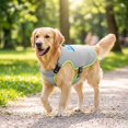 thumbnail image 5 of Pets Dog Cooling Vest with Ice Pack Evaporation Cool Harness Adjustable Summer Shirt Pet Jacket for Hot Weather Fit Large Medium Small Dogs Grey S, 5 of 6