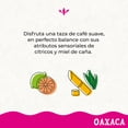 thumbnail image 5 of Caf&eacute; 1968 Oaxaca en Grano 1kg | Perfil suave | Notas c&iacute;tricas y miel de ca&ntilde;a | Tueste Medio, 5 of 5