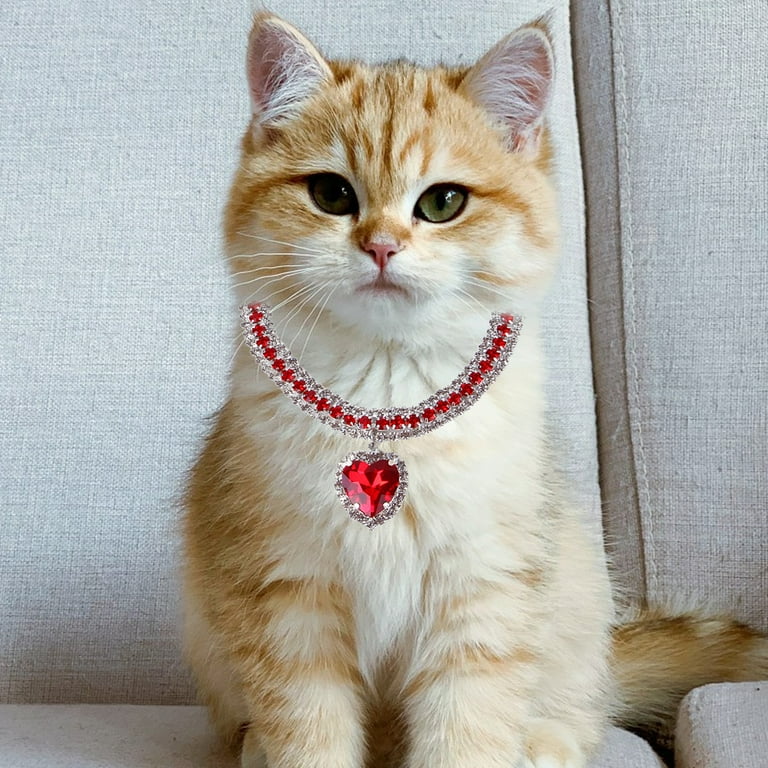 Pet jewelry for cats sales