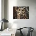 thumbnail image 3 of JEUXUS Horned Owl Nature Photography Canvas Wall Art, Design by Dennis Frates 20x16in, 3 of 4