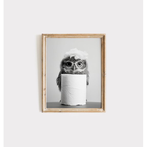 Kna Prints - Owl - Black And White Animal Bathroom Wall Decor Bird Owl Art Print Bathroom Wall Art Owl Gift For Home Decor, Decor For Living Room Bedroom UNFRAMED-16x24