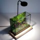 thumbnail image 5 of Toystoory Decoración de árbol en miniatura, artesanía DIY, planta falsa, adorno de paisaje hecho a mano, bonsái, fiesta decorativa para Artesanía, 5 of 6